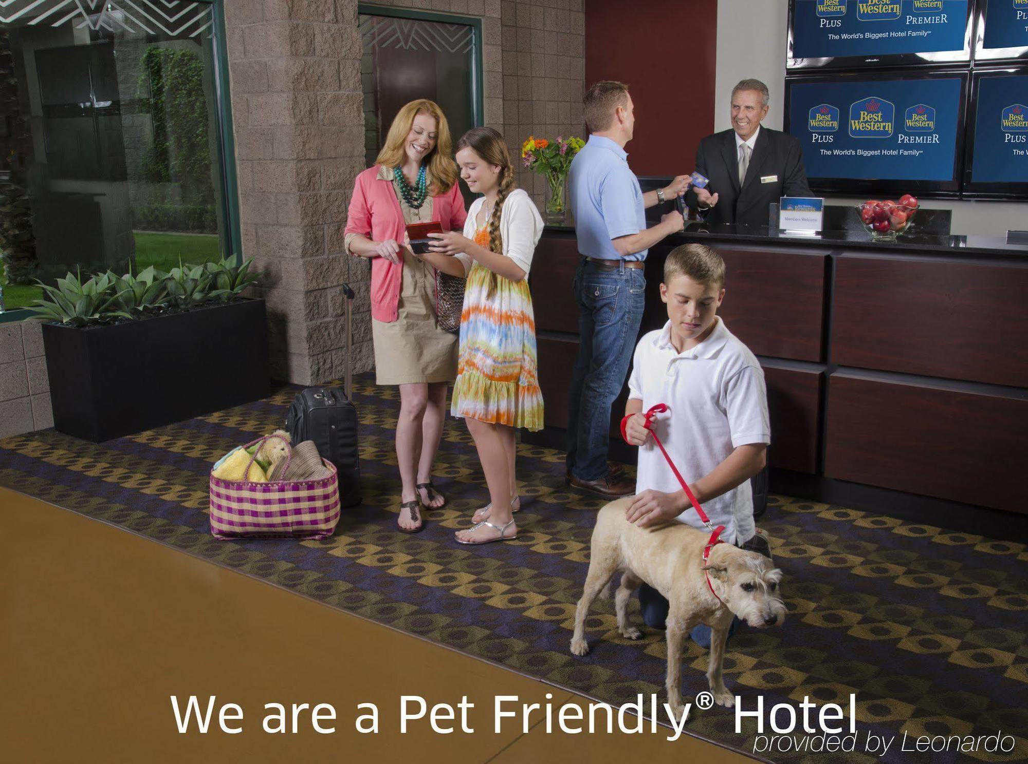 Best Western Socorro Hotel & Suites Kültér fotó